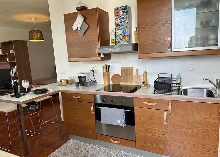 Cozy With Balcony Seating, 9th Floor, Parking * Bratislava